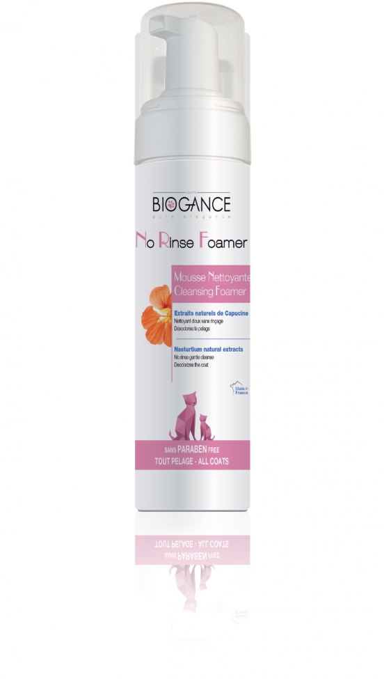 �m�[�����X�E�t�H�[�}�[ �L�p�V�����v..