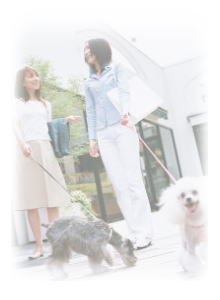 現在利用されているお店の、気に入っている点は？